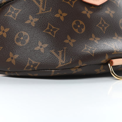 Louis Vuitton Monogram Bumbag 9 of 11