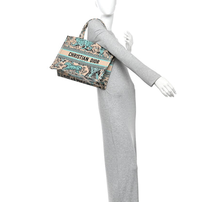 Christian Dior Raffia Embroidered Dioriviera Medium Book Tote Aquamarina 2 of 10