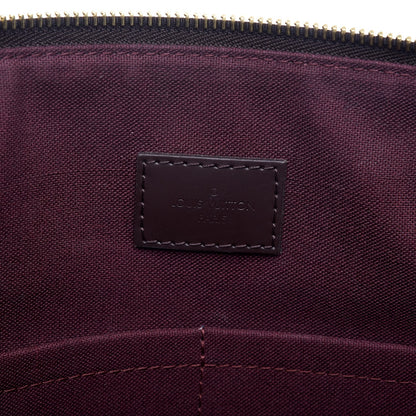 Louis Vuitton Damier Ebene Iena MM 7 of 10