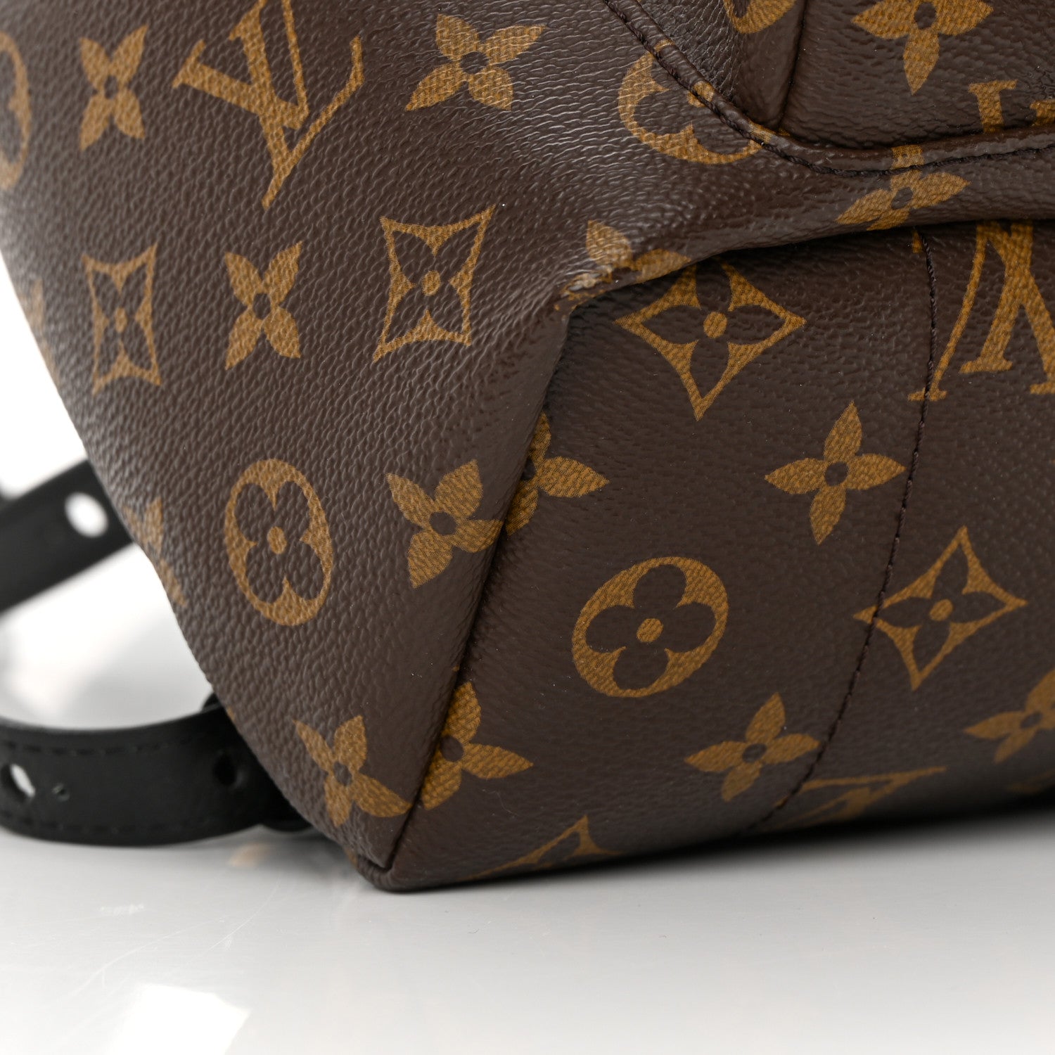 Louis Vuitton Monogram Palm Springs Backpack PM 9 of 13