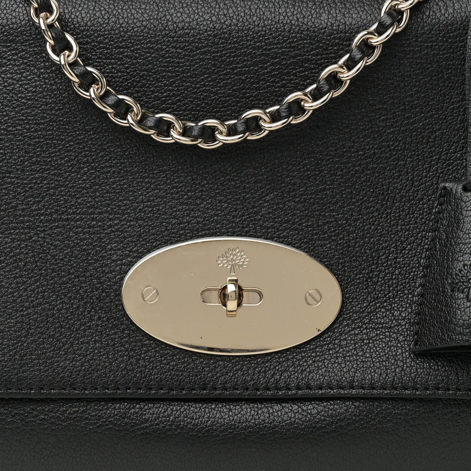 Mulberry Glossy Goatskin Medium Lily Black 8 of 11