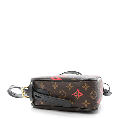 Louis Vuitton Monogram Fall In Love Sac Coeur 4 of 9