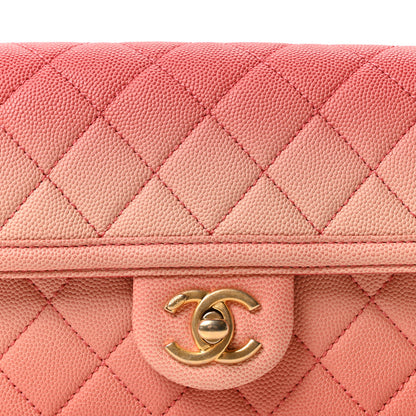 Chanel Caviar Quilted Sunset On The Sea Waist Bag Coral 15 of 19