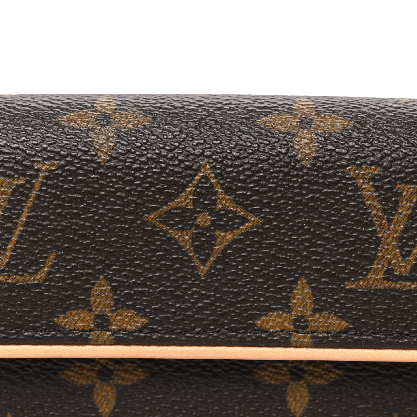 Monogram Pochette Florentine S