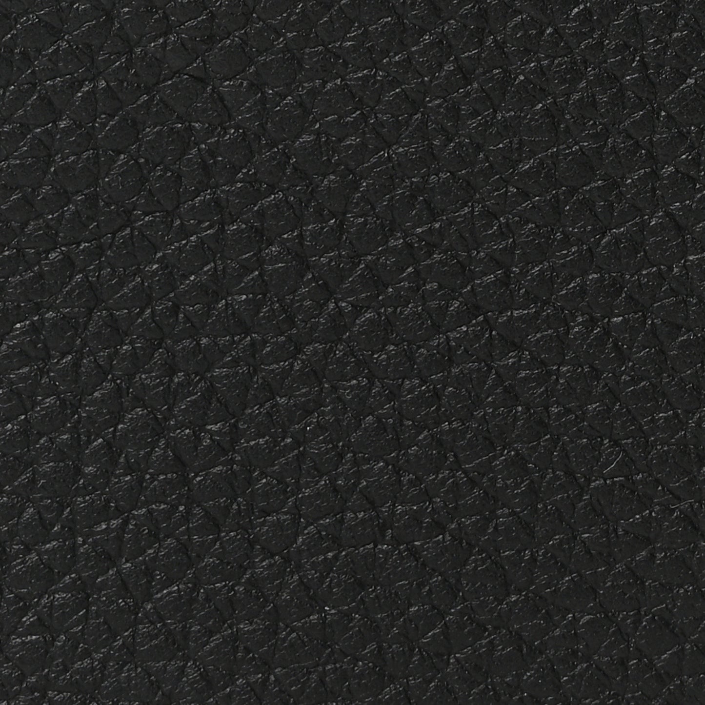 Grained Calfskin L19 Extra Pocket Pouch Black