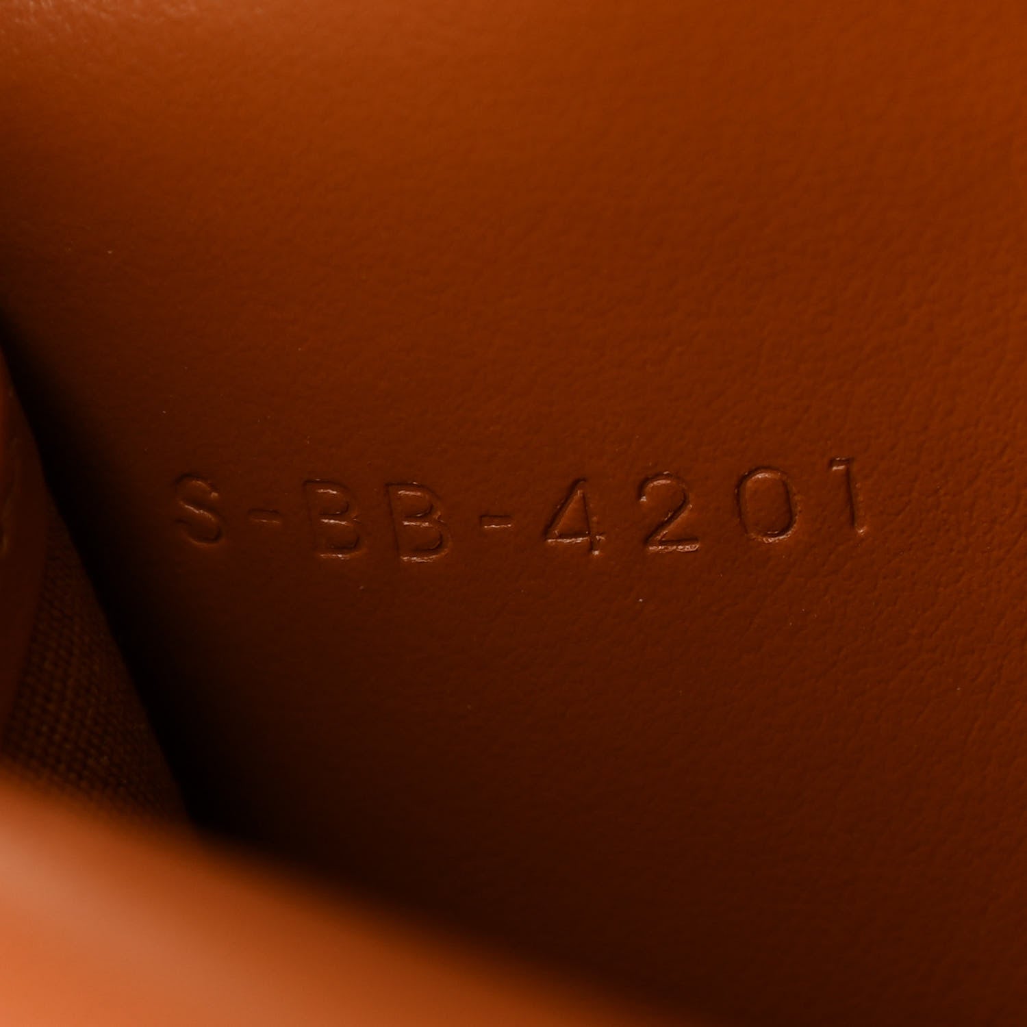 Celine Triomphe Canvas Lambskin Wallet On Strap Tan 8 of 13
