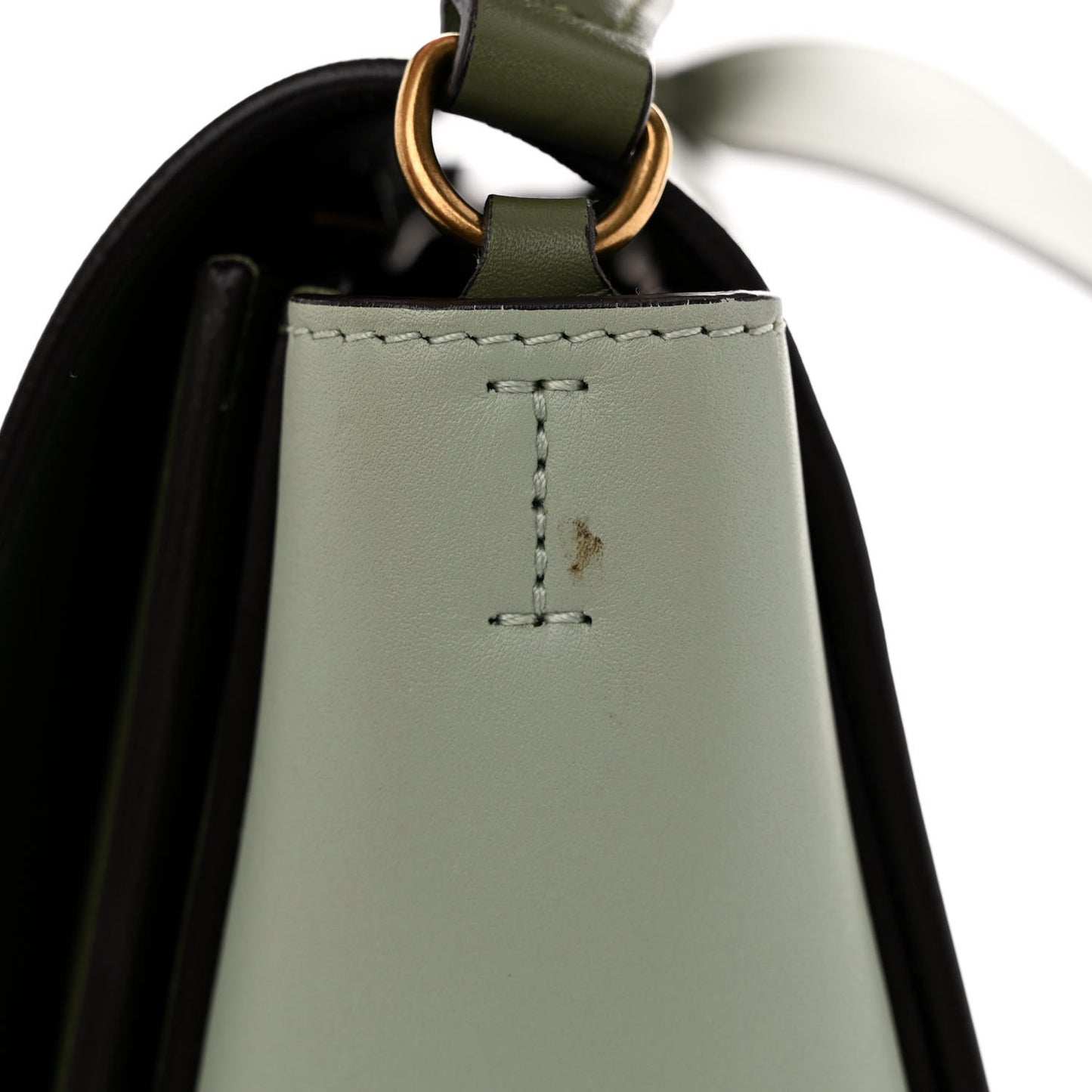 Shiny Smooth Calfskin Medium Frame Shoulder Bag Pastel Green