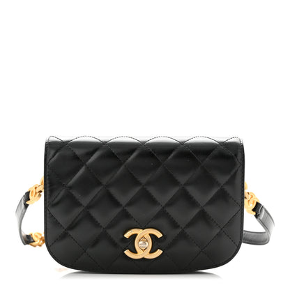 Chanel Shiny Calfskin Quilted Suede Goatskin Belt Bag Black 1 of 10