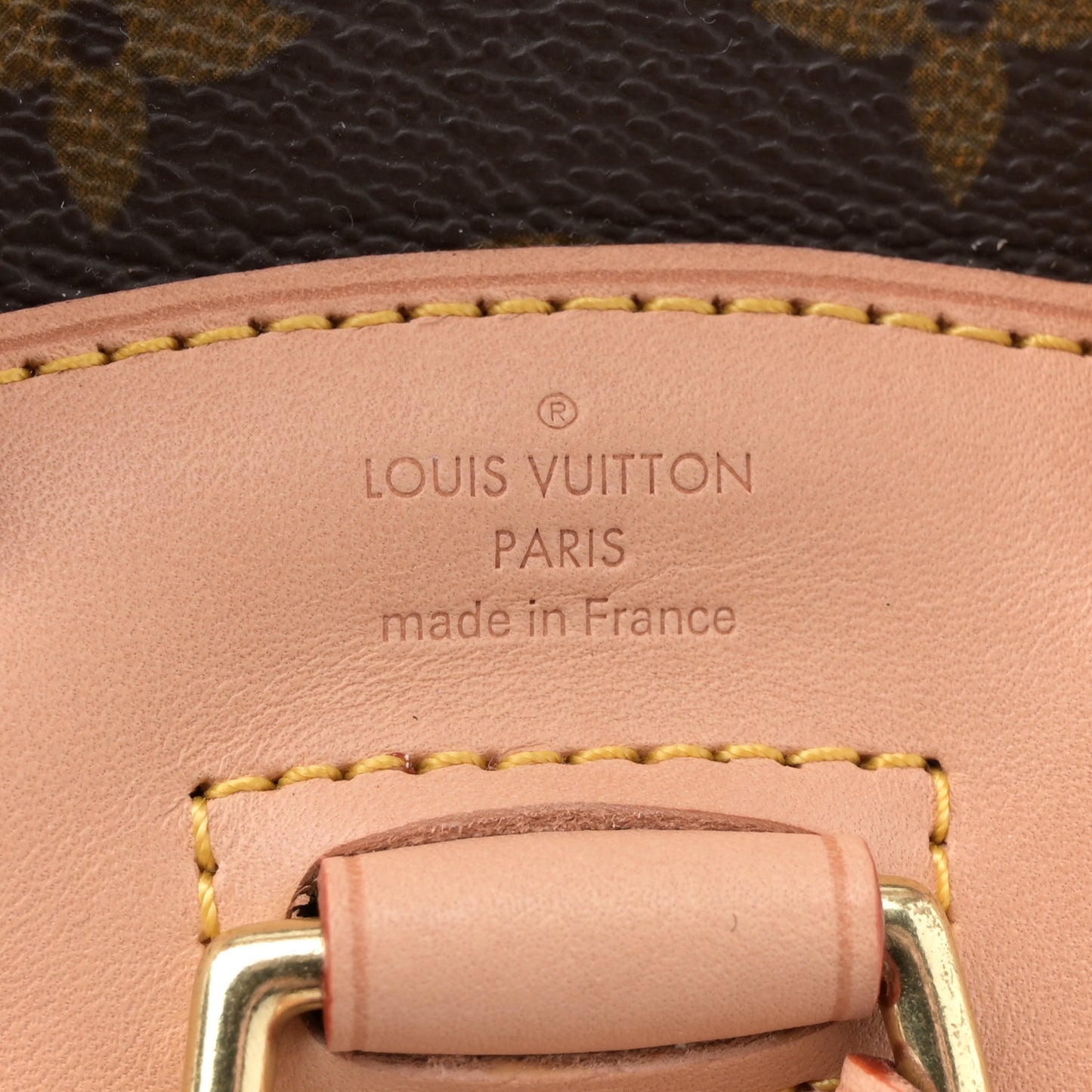 Monogram Mini Montsouris Backpack