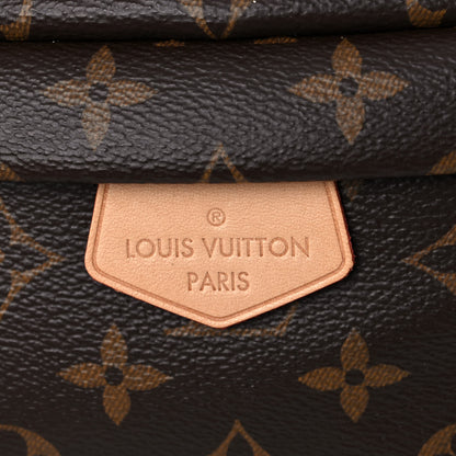 Louis Vuitton Monogram Bumbag 10 of 12