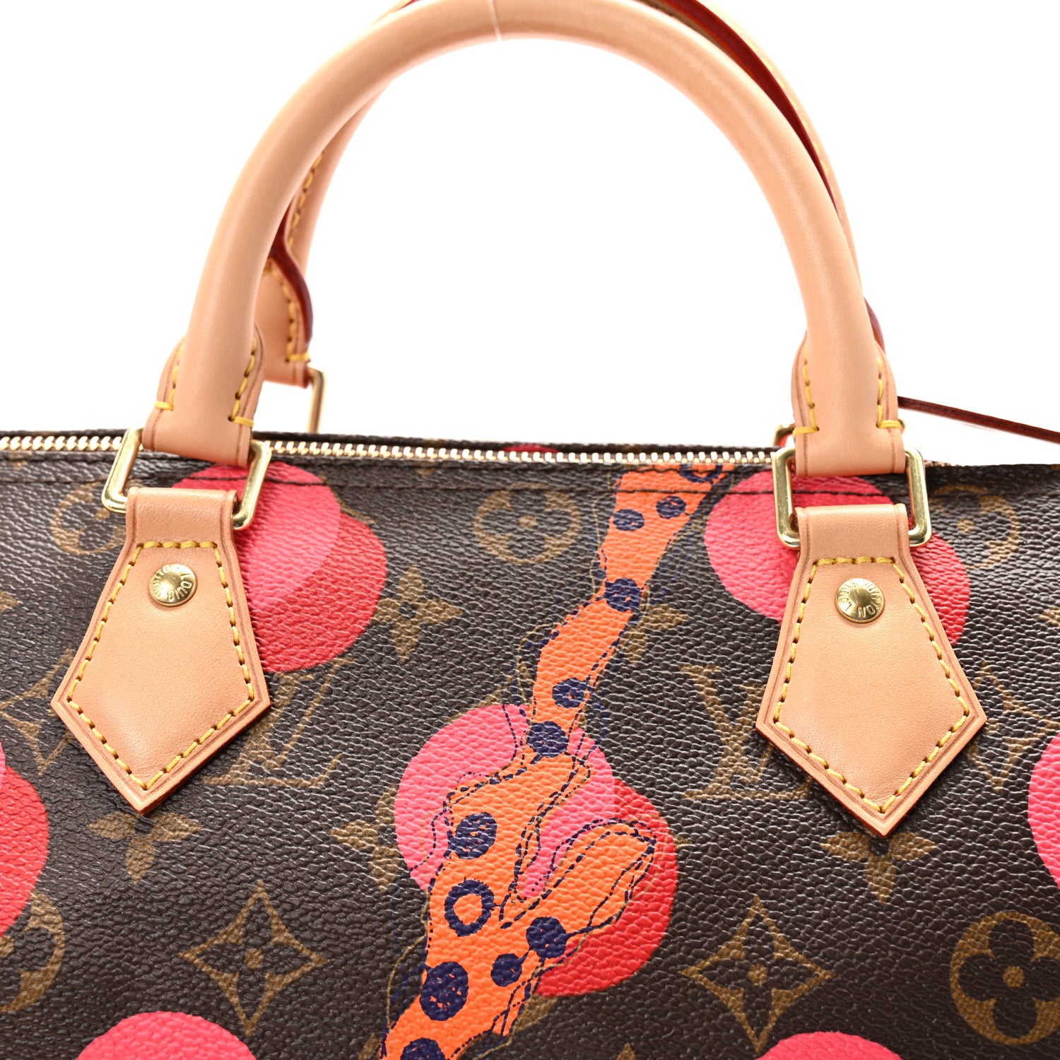 Louis Vuitton Monogram Ramages Speedy 30 Grenade 8 of 10
