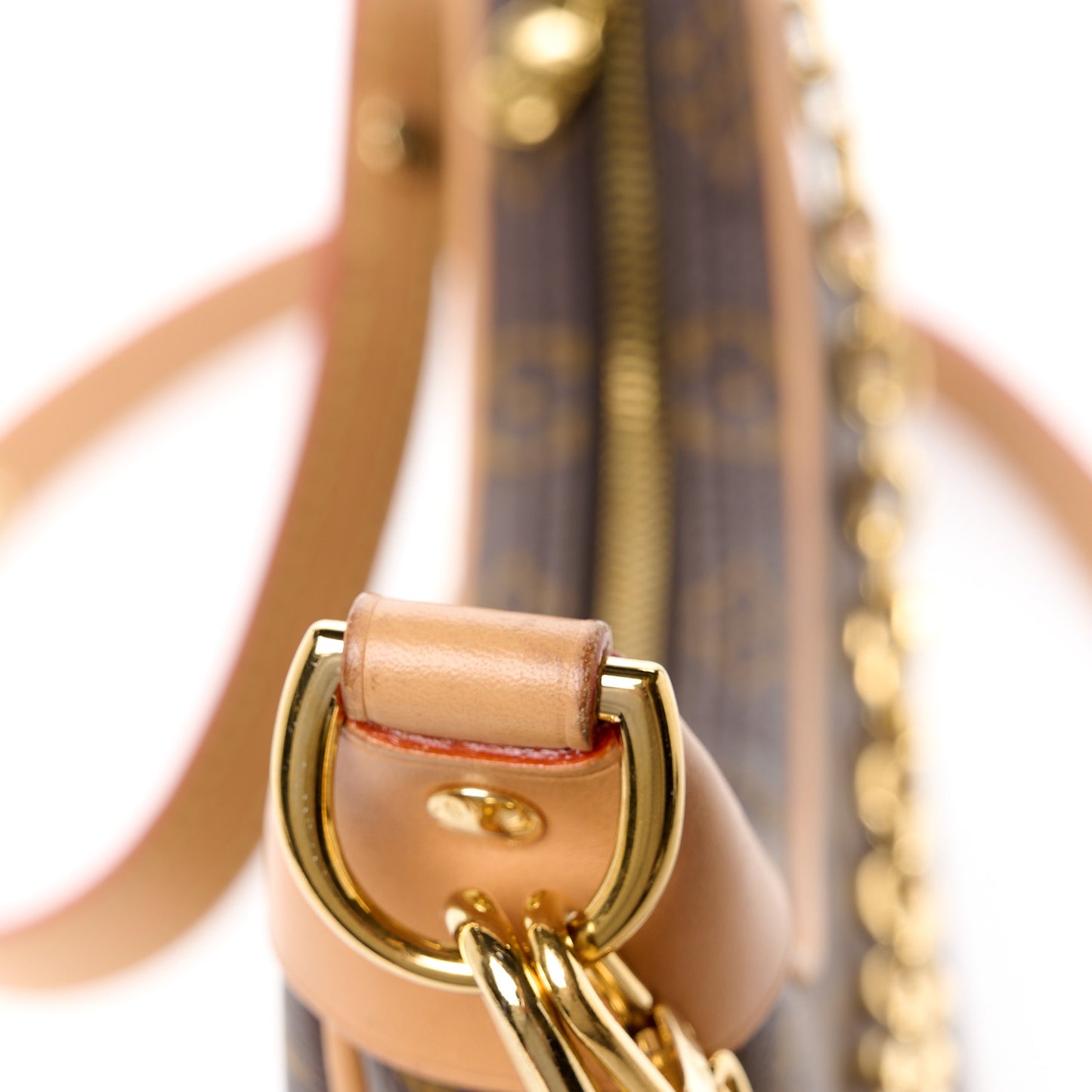 LOUIS VUITTON Monogram Loop