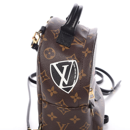 Louis Vuitton Monogram World Tour Palm Springs Backpack Mini 11 of 12