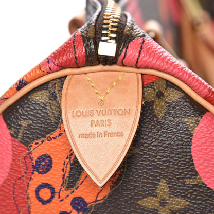 Louis Vuitton Monogram Ramages Speedy 30 Grenade 8 of 14