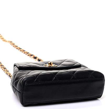 Chanel Lambskin Quilted Flap Waist Belt Bag Black 3 of 4