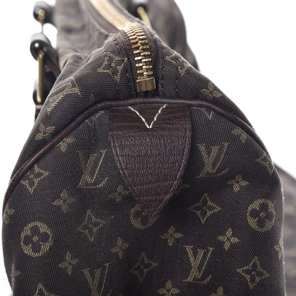 Louis Vuitton Mini Lin Speedy 30 Ebene 6 of 13