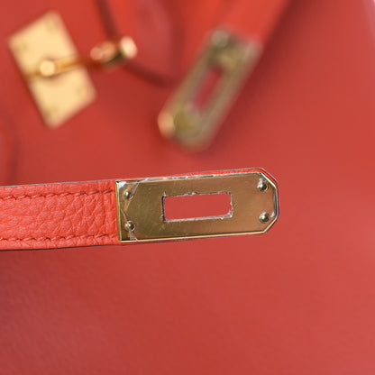 Hermes Togo Birkin 25 Rouge Tomate 35 of 37