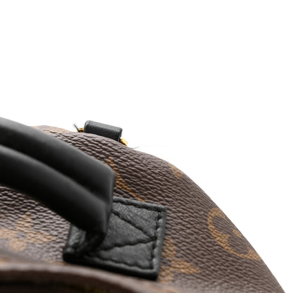 Louis Vuitton Monogram Palm Springs Backpack Mini 11 of 12