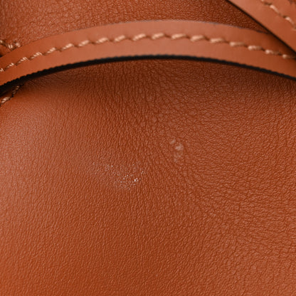 Loewe Calfskin Balloon Bucket Bag Tan 11 of 12