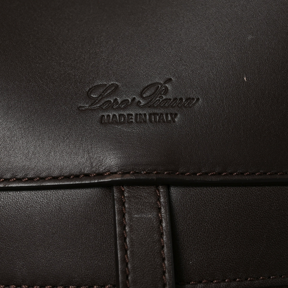 Loro Piana Smooth Calfskin Large Sesia Dark Brown 6 of 9