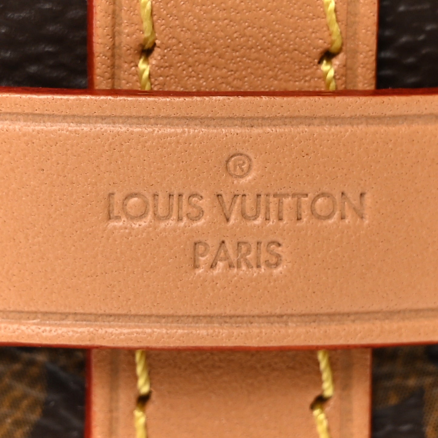 Monogram Carryall PM