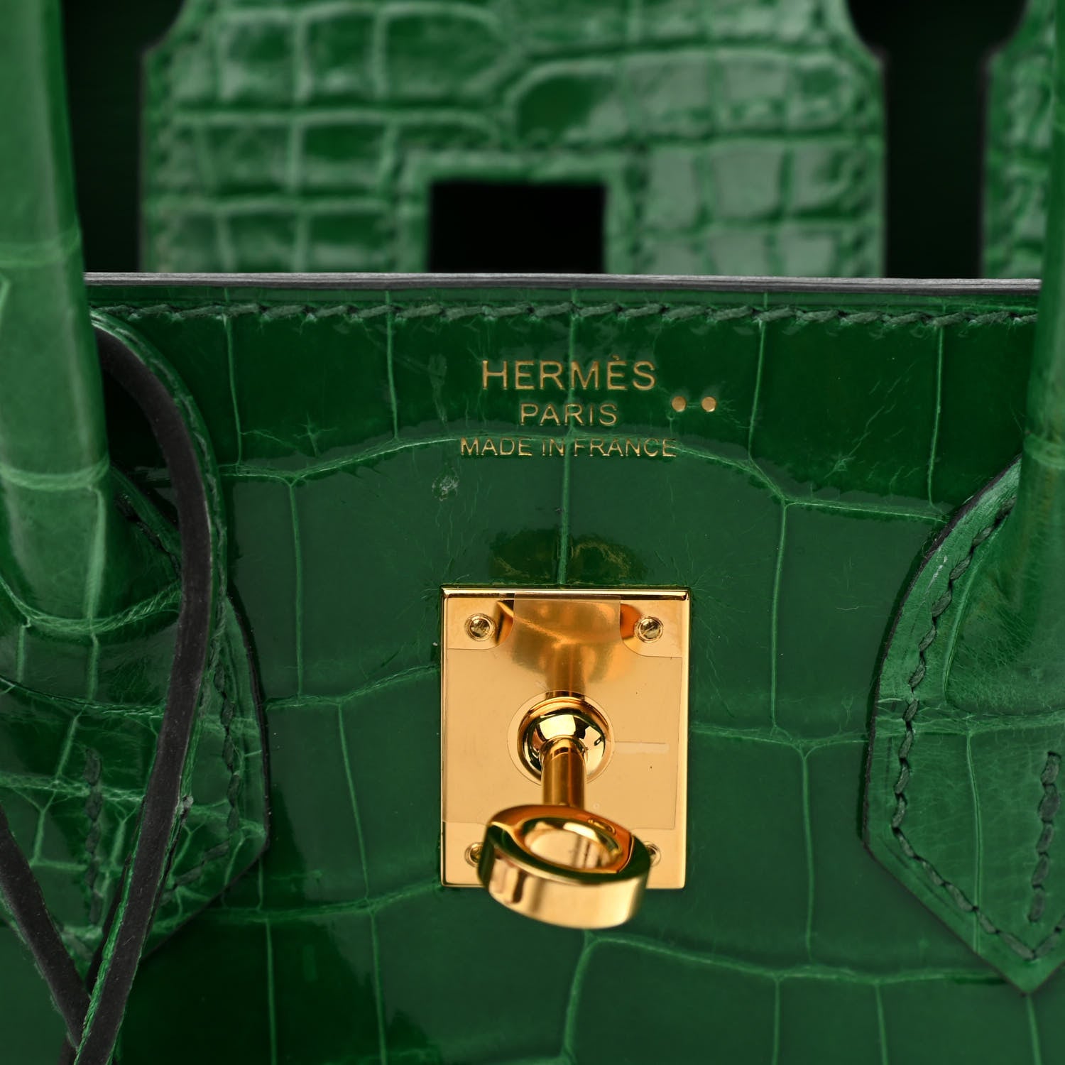 Hermes Shiny Niloticus Crocodile Birkin 25 Cactus 6 of 14