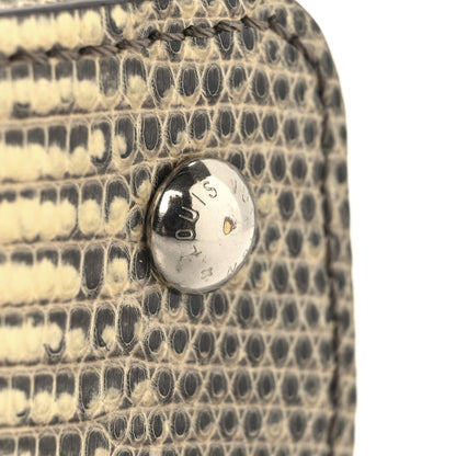Louis Vuitton Lizard Ombre Capucines Mini Natural 10 of 11