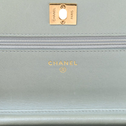 Chanel Lizard Wallet on Chain WOC Light Grey 6 of 19
