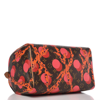 Louis Vuitton Monogram Ramages Speedy 30 Grenade 4 of 7