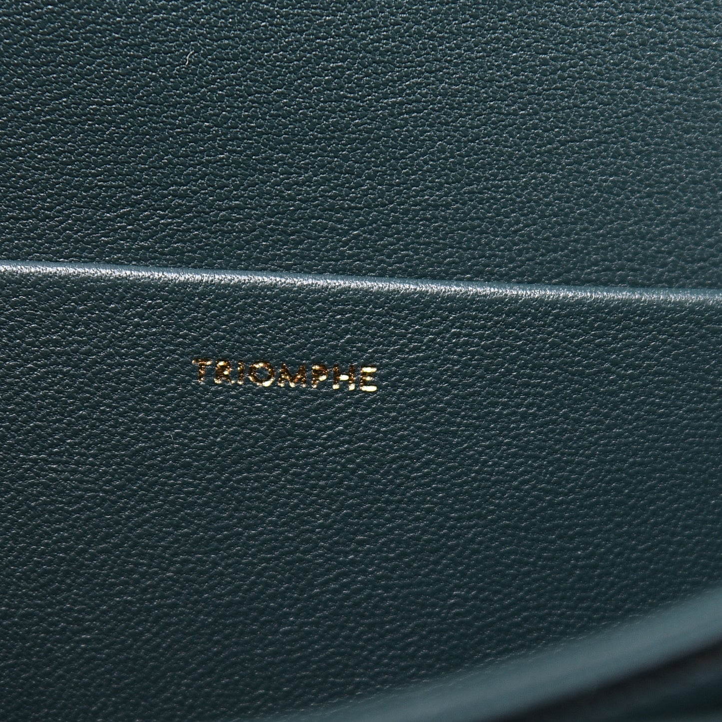 Shiny Calfskin Medium Triomphe Amazone