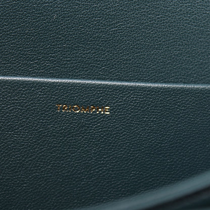 Celine Shiny Calfskin Medium Triomphe Amazone 7 of 14