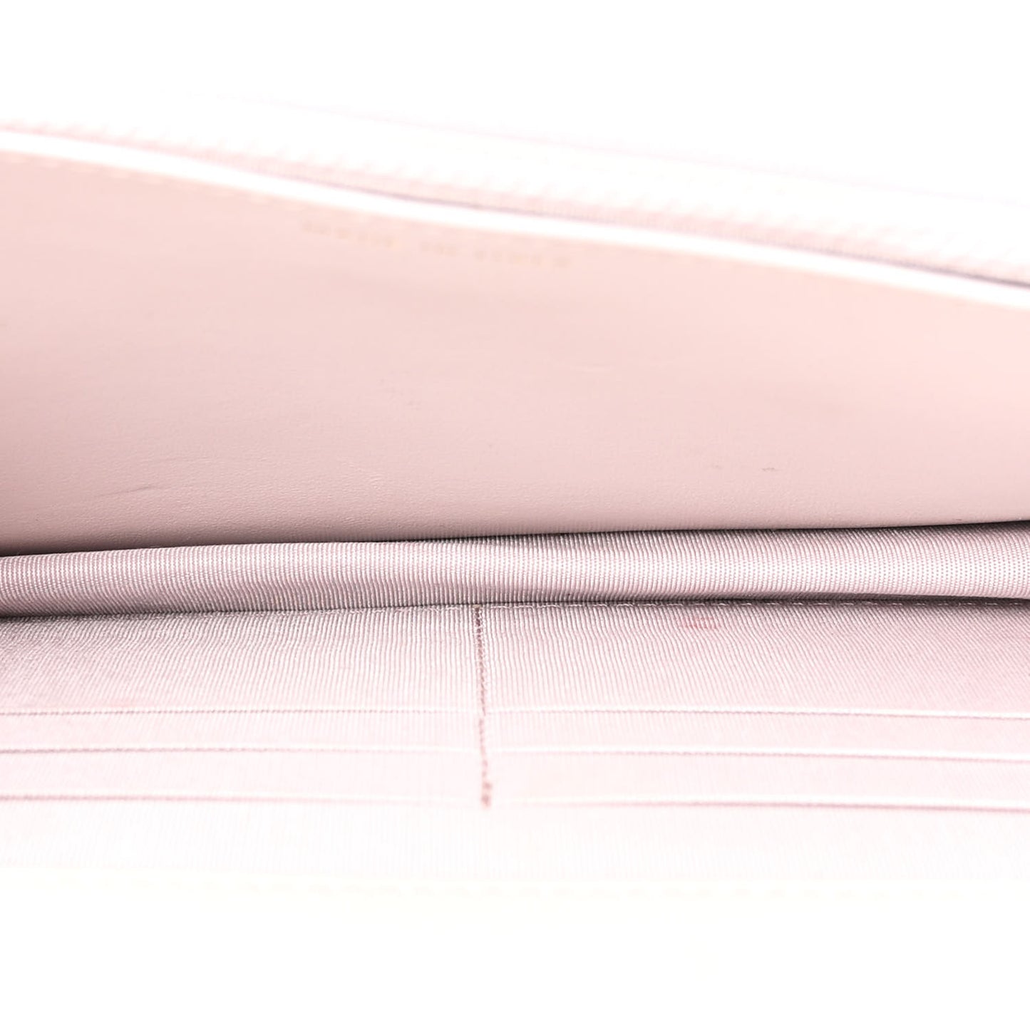 Lambskin Quilted Chanel 19 Wallet On Chain WOC Light Pink