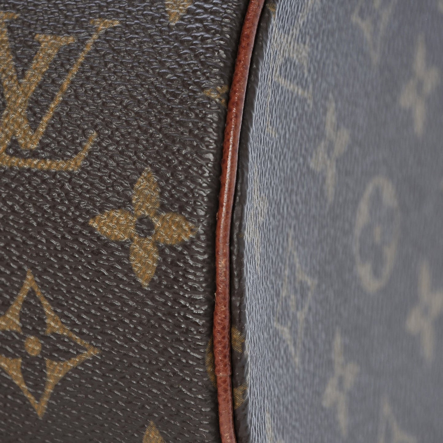 Monogram Papillon 30
