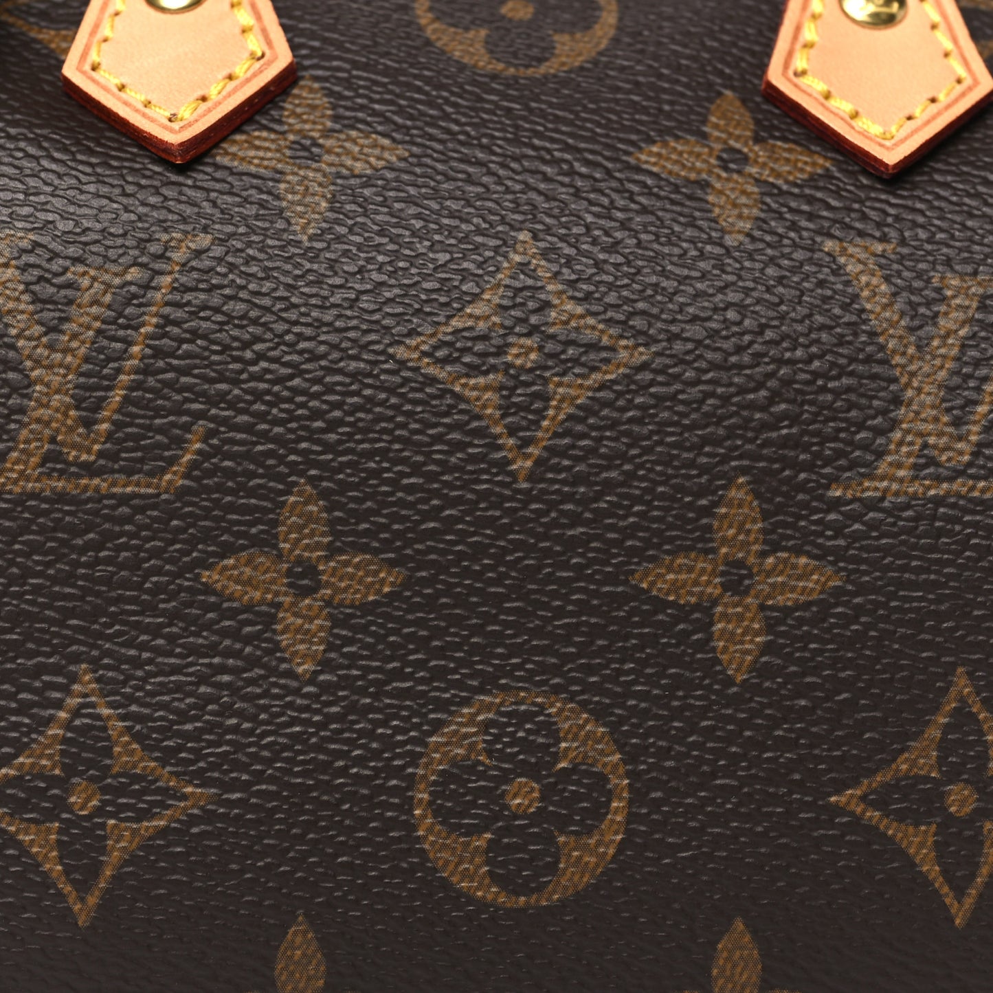 Monogram Nano Speedy