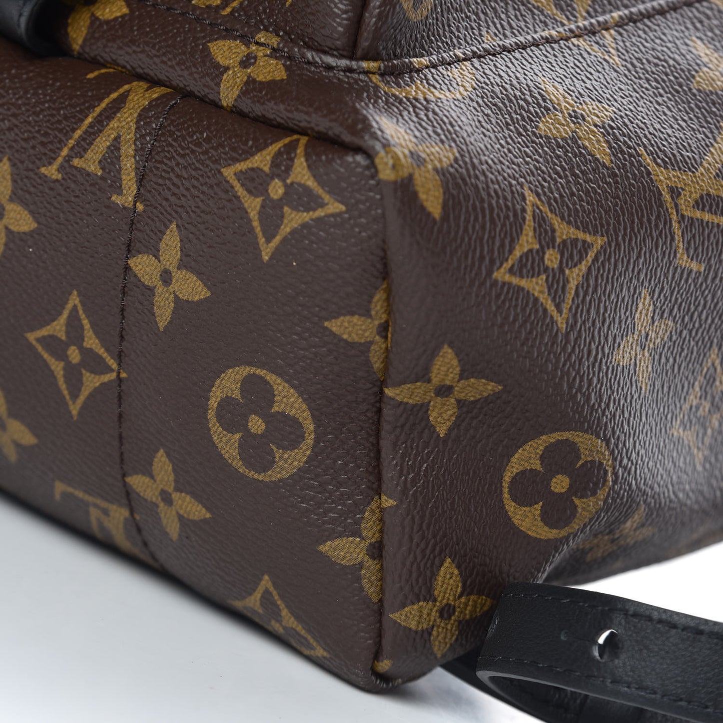 Monogram Palm Springs Backpack PM