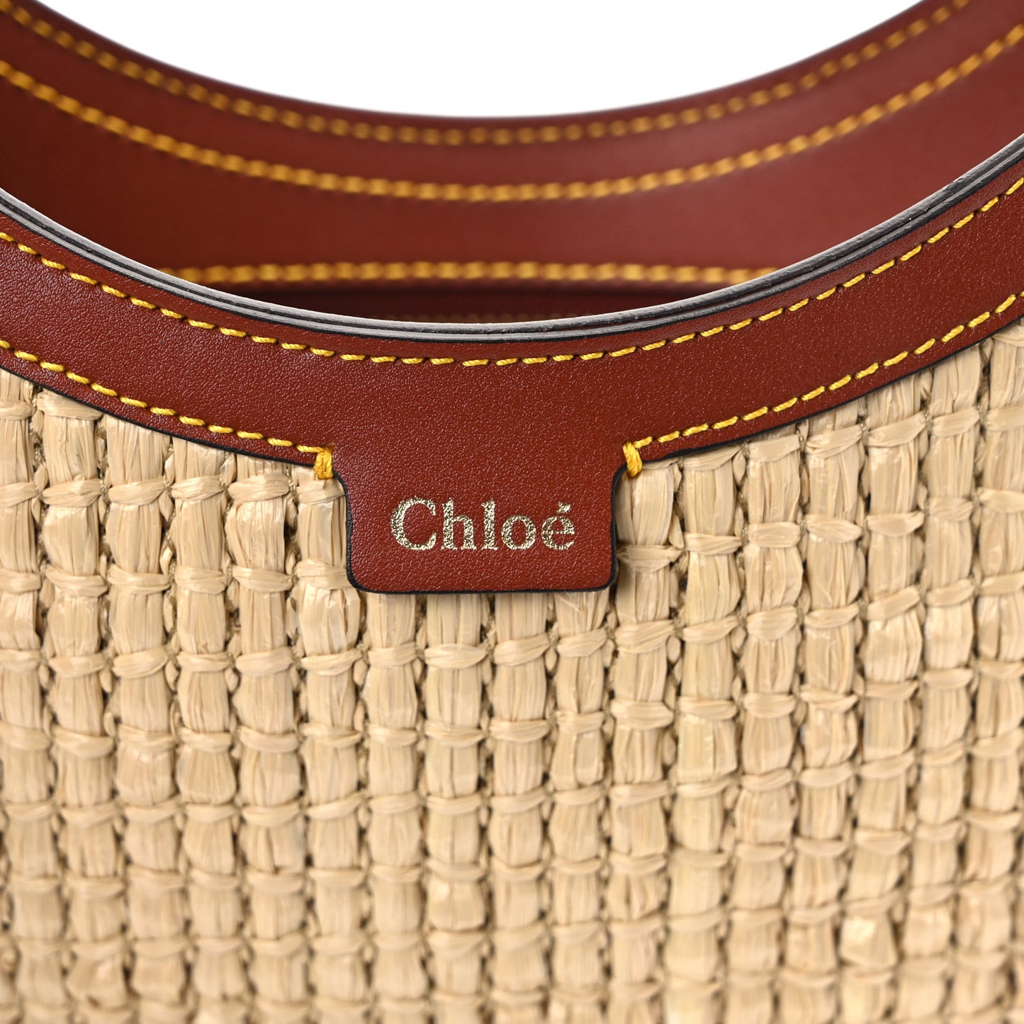 Calfskin Raffia Embroidered Small Darryl Hobo Sepia Brown