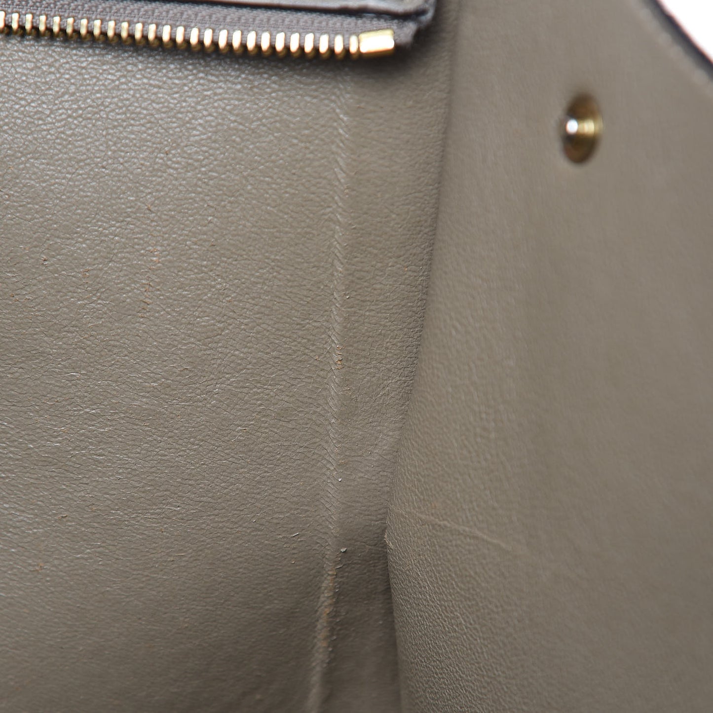 Calfskin Suede Whipsnake Medium Trapeze Taupe