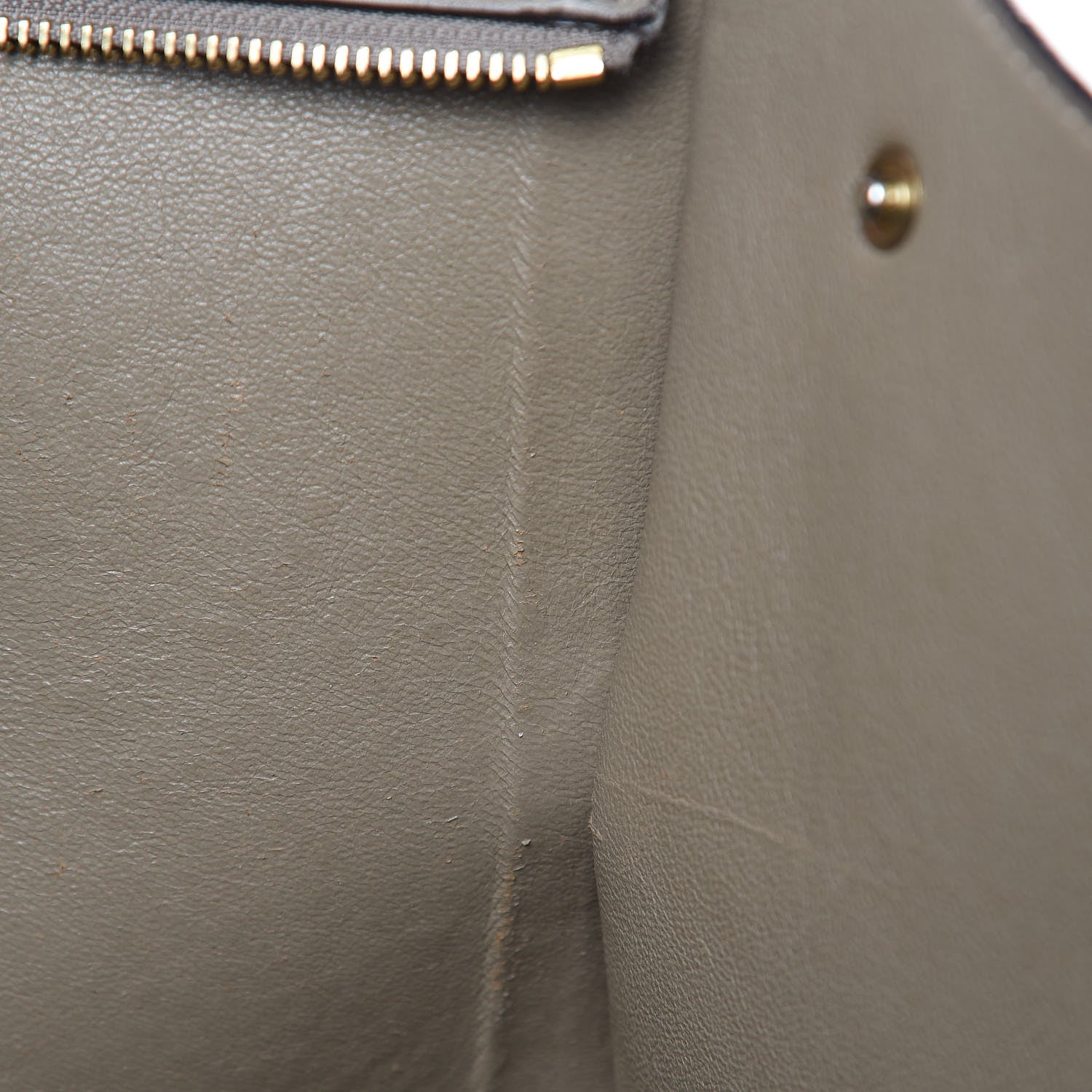 Celine Calfskin Suede Whipsnake Medium Trapeze Taupe 17 of 22