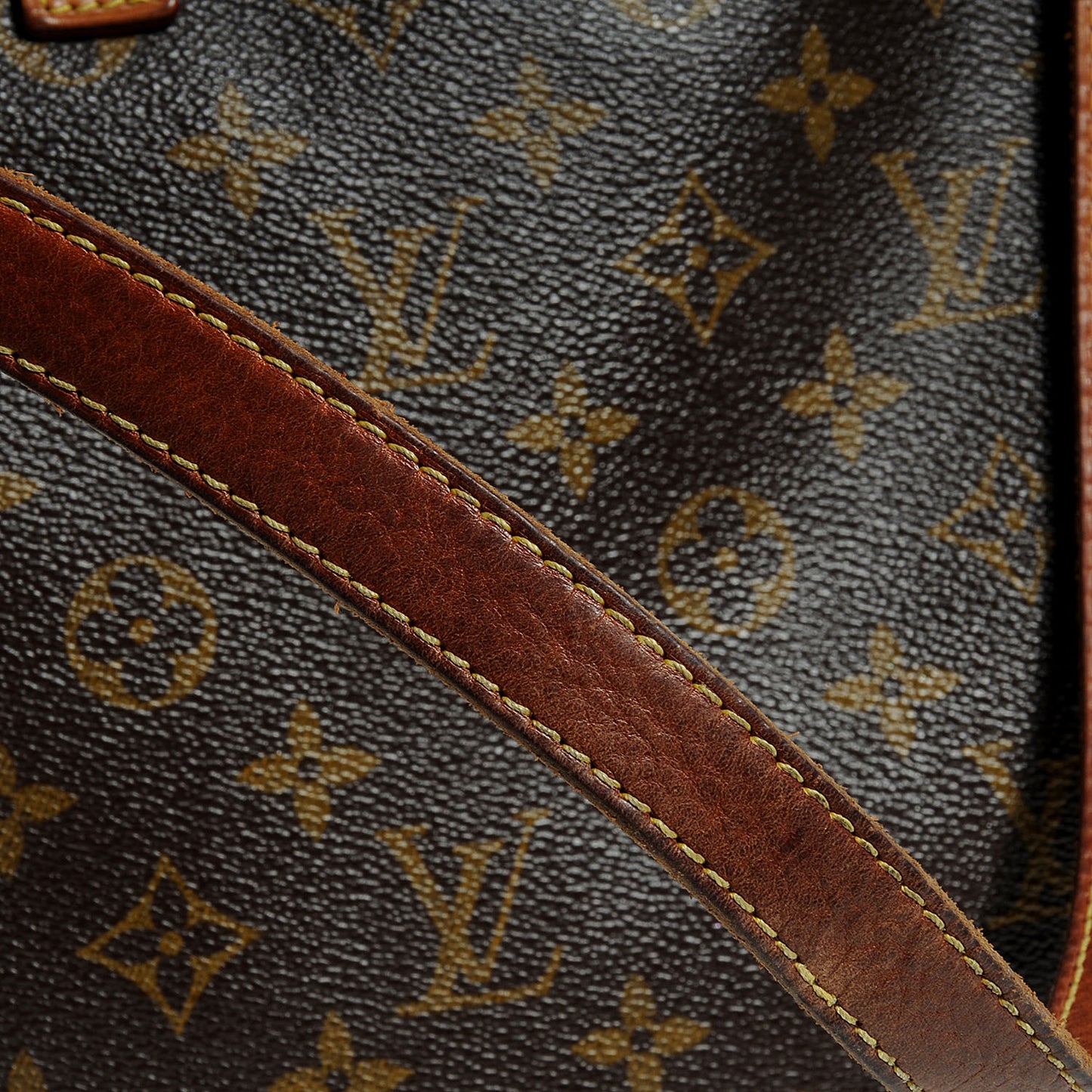 Monogram Cabas Mezzo