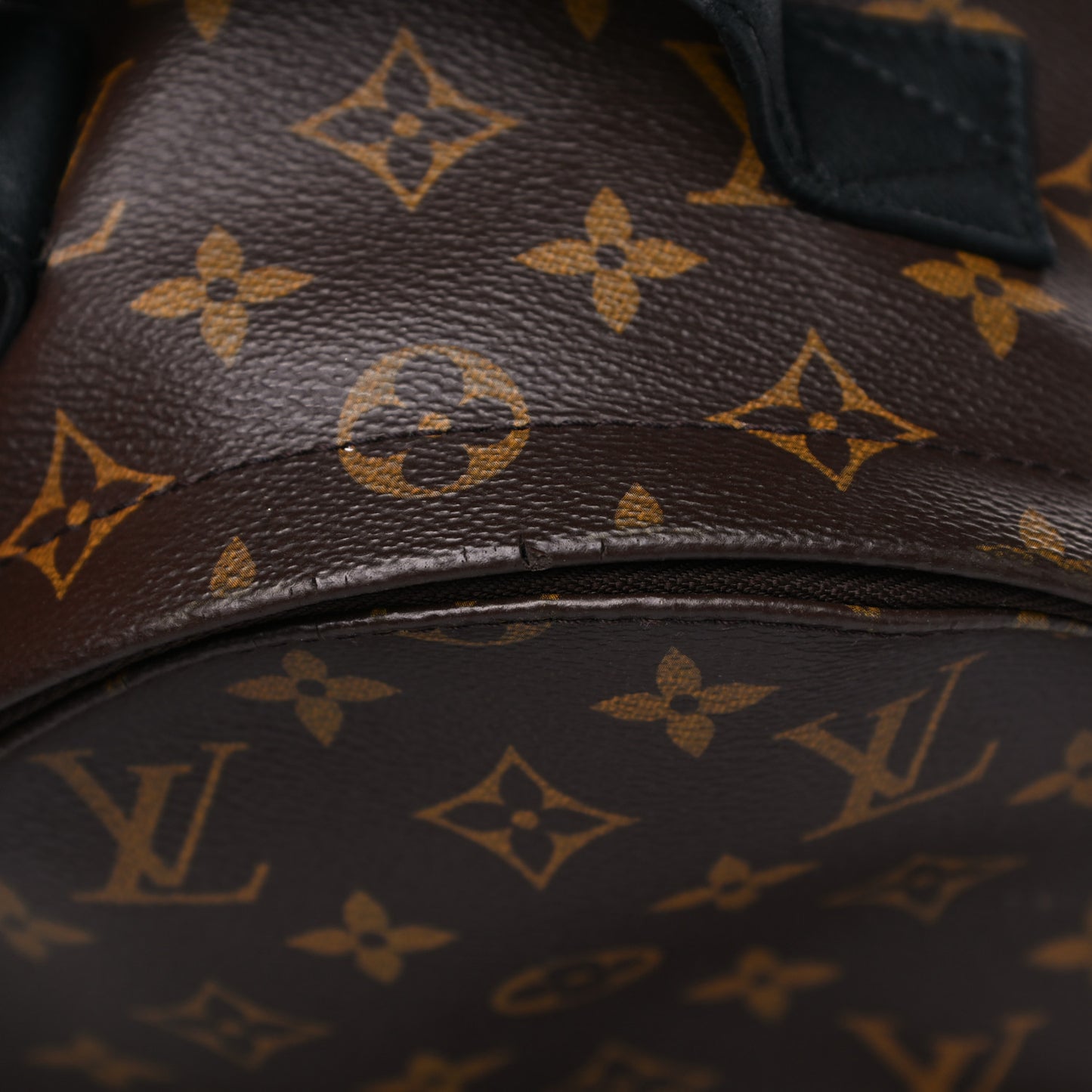 Monogram Palm Springs Backpack PM