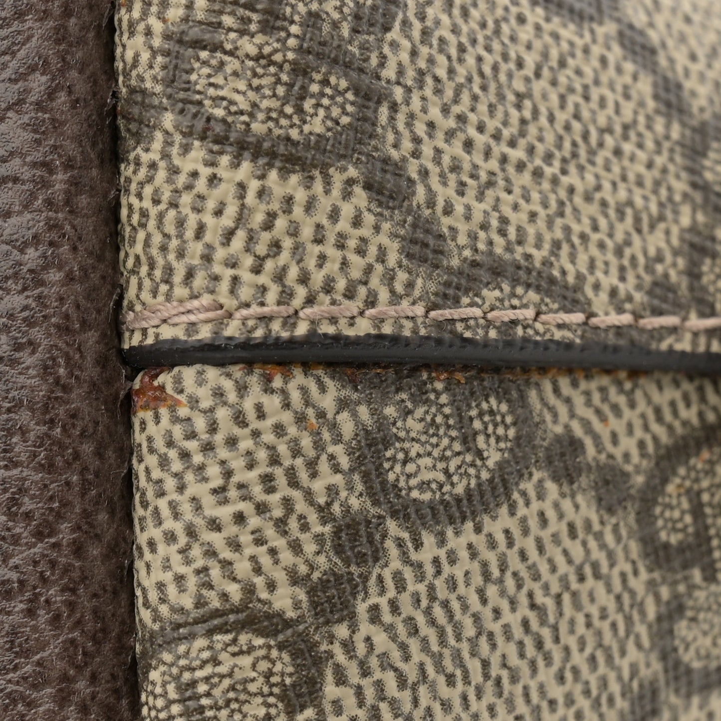 GG Supreme Monogram Textured Dollar Calfskin Web Small Ophidia Dome Shoulder Bag Beige Ebony New Acero