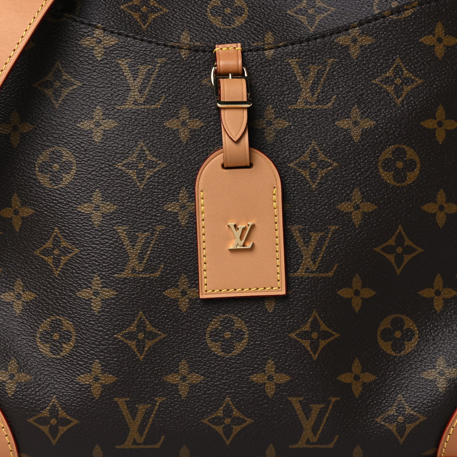Louis Vuitton Monogram Odeon MM Natural 8 of 10