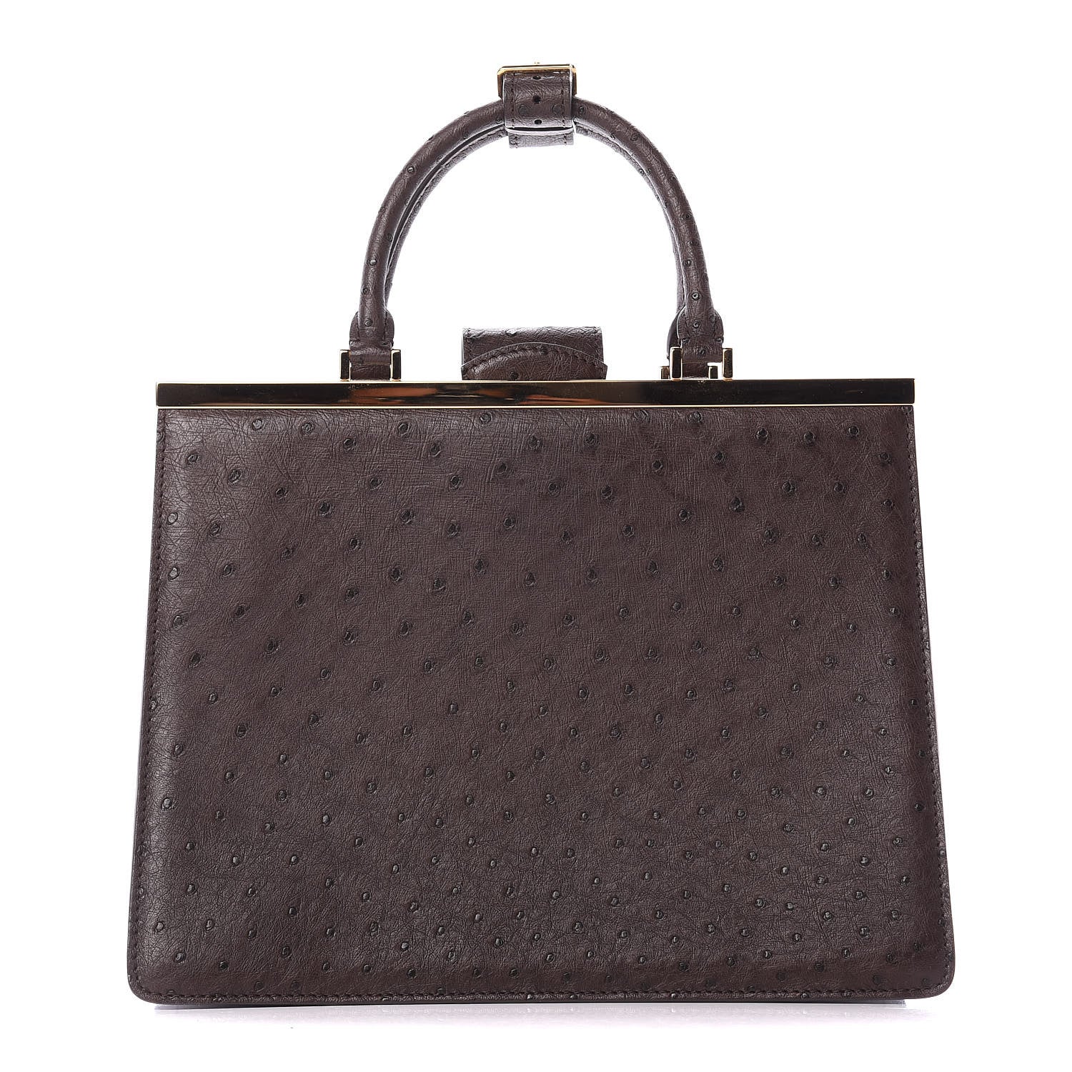 Louis Vuitton Ostrich Deesse MM Marron 1 of 8