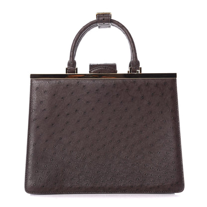 Louis Vuitton Ostrich Deesse MM Marron 1 of 8