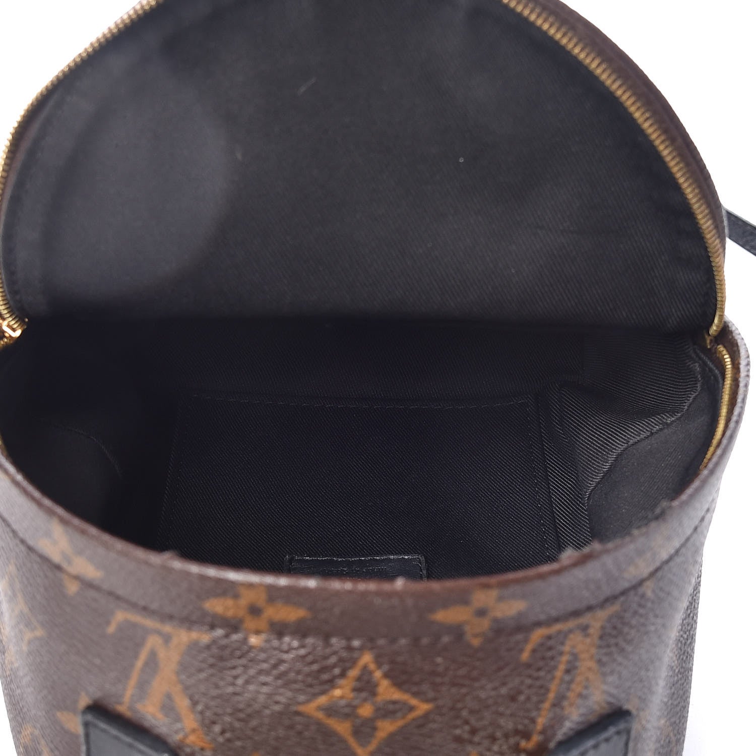 Louis Vuitton Monogram Palm Springs Backpack Mini 5 of 16