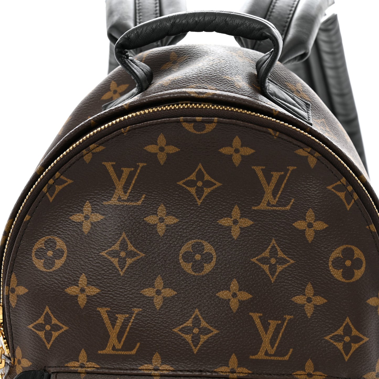 Monogram Palm Springs Backpack PM