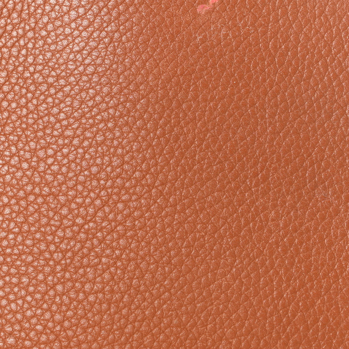 Monogram Olympe Camel