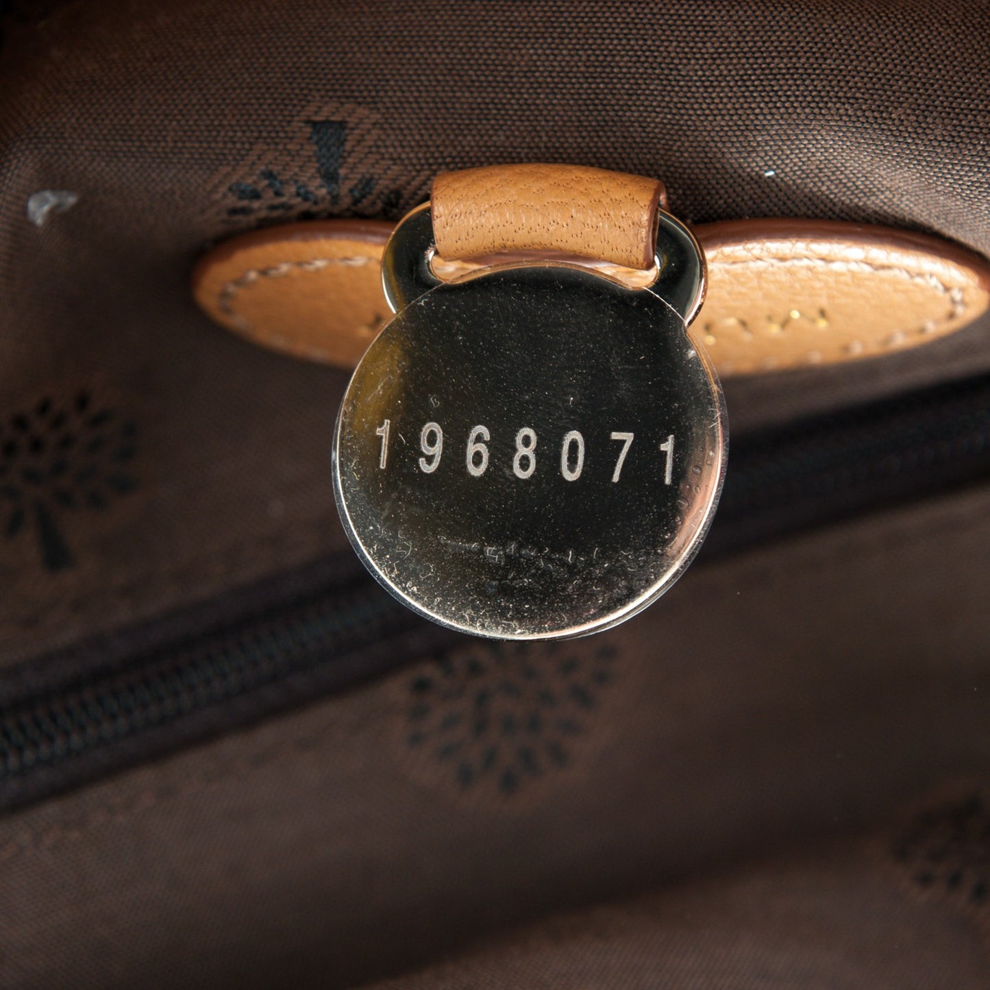 Glossy Goatskin Small Del Rey Satchel Fudge