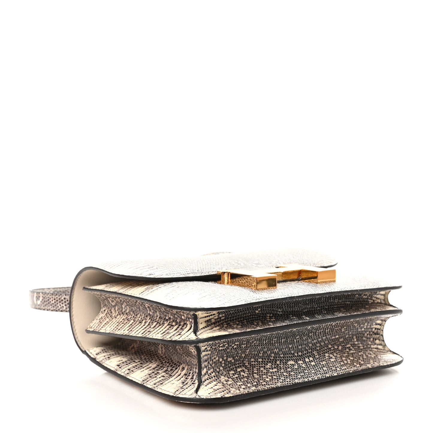 Lizard Constance 18 Ombre