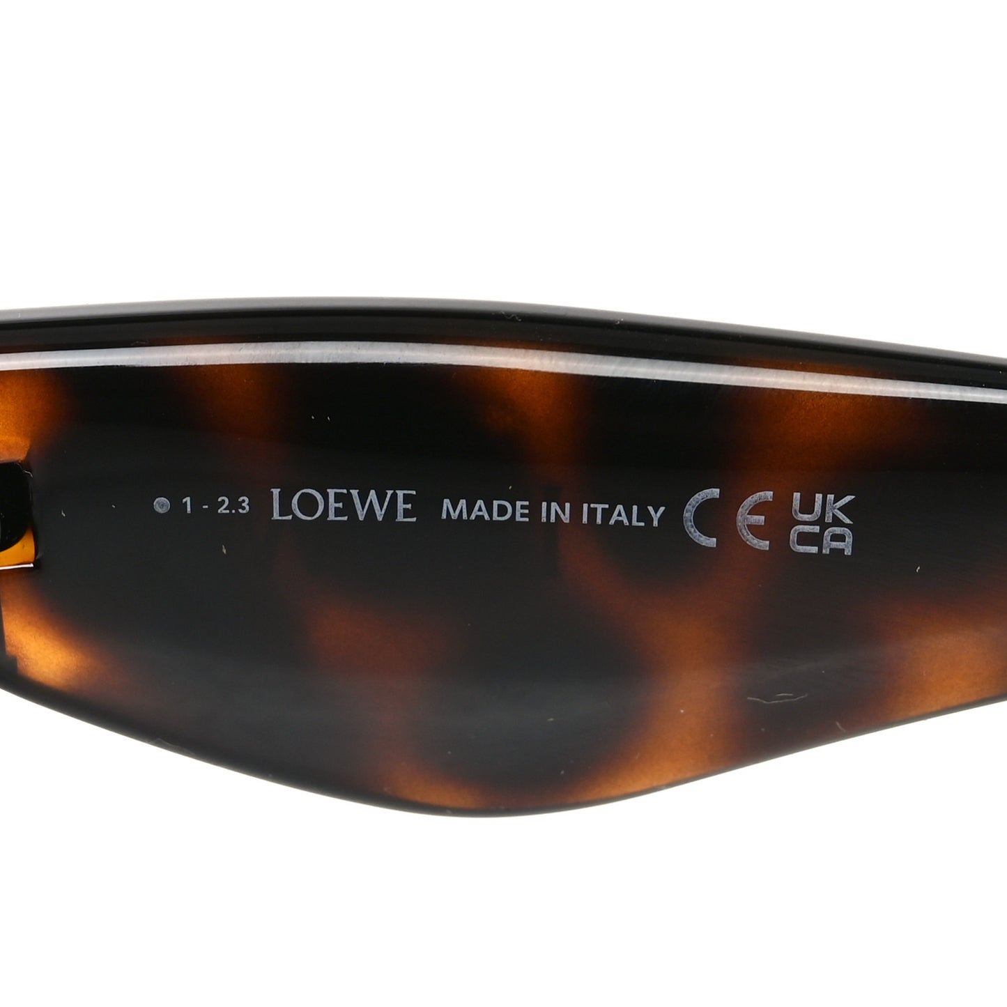 Acetate Inflated Cat-Eye Sunglasses LW40118I Tortoise